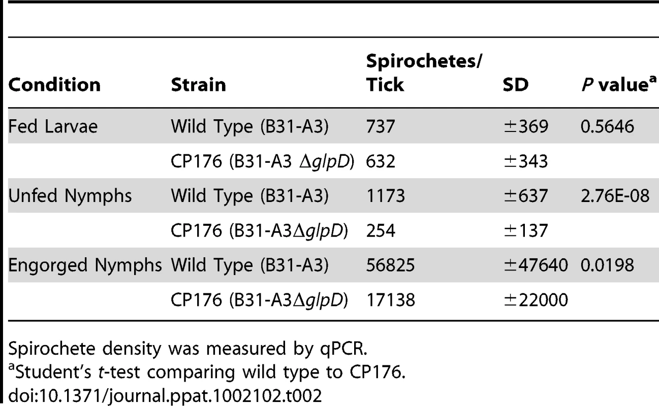 Spirochete density at different tick phases.
