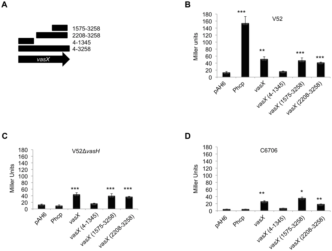 Dual expression profile of the immunity protein-encoding gene <i>tsiV2</i>.