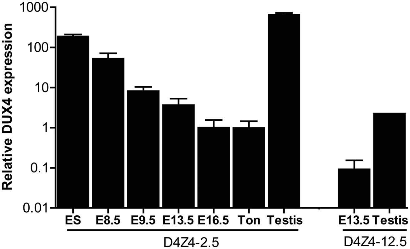 Quantative expression analysis of DUX4 transcripts from the telomeric D4Z4 unit in D4Z4-12.5 and D4Z4-2.5 mice.