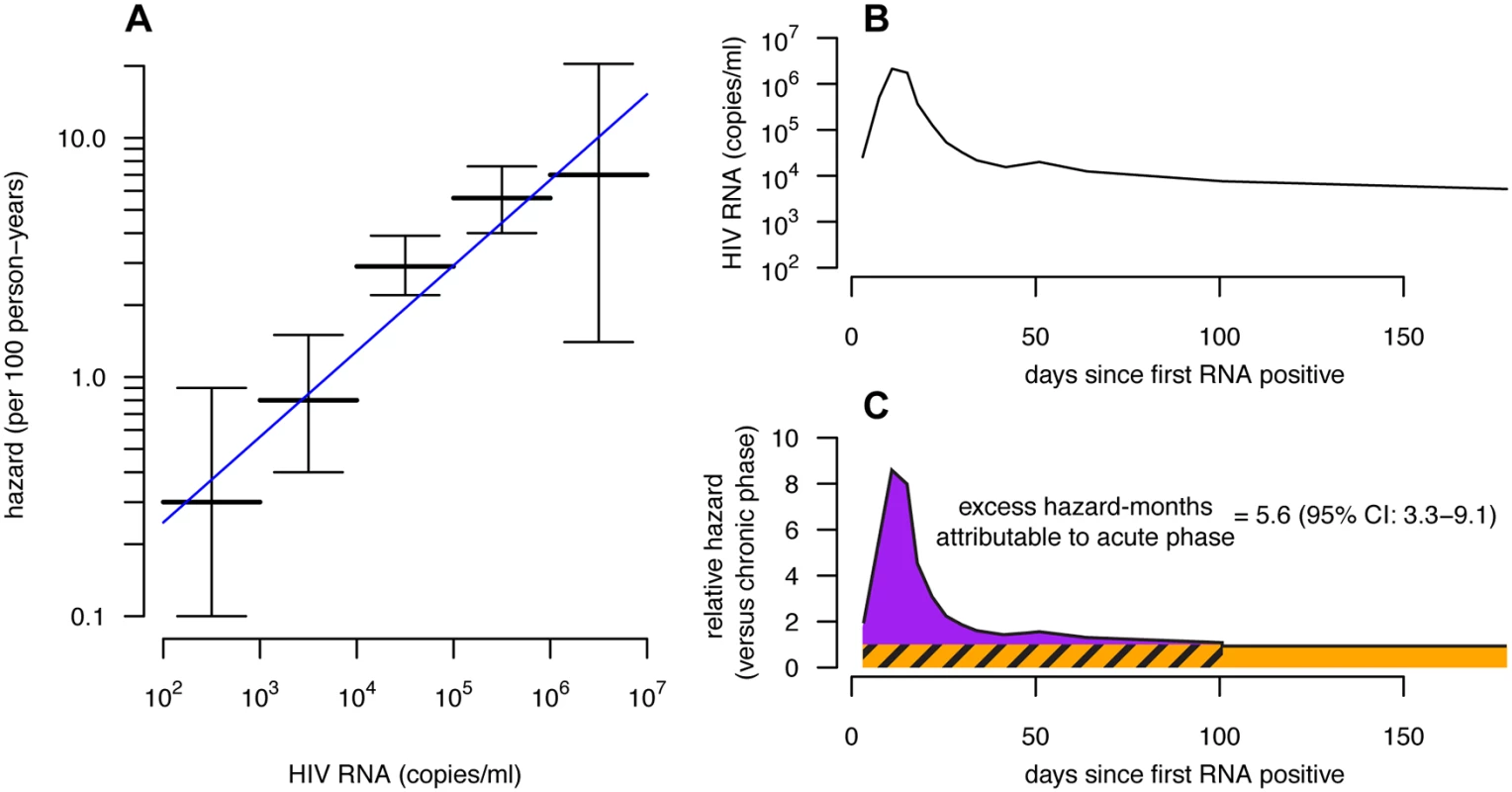 Viral-load-based estimates of excess hazard-months due to the acute phase.