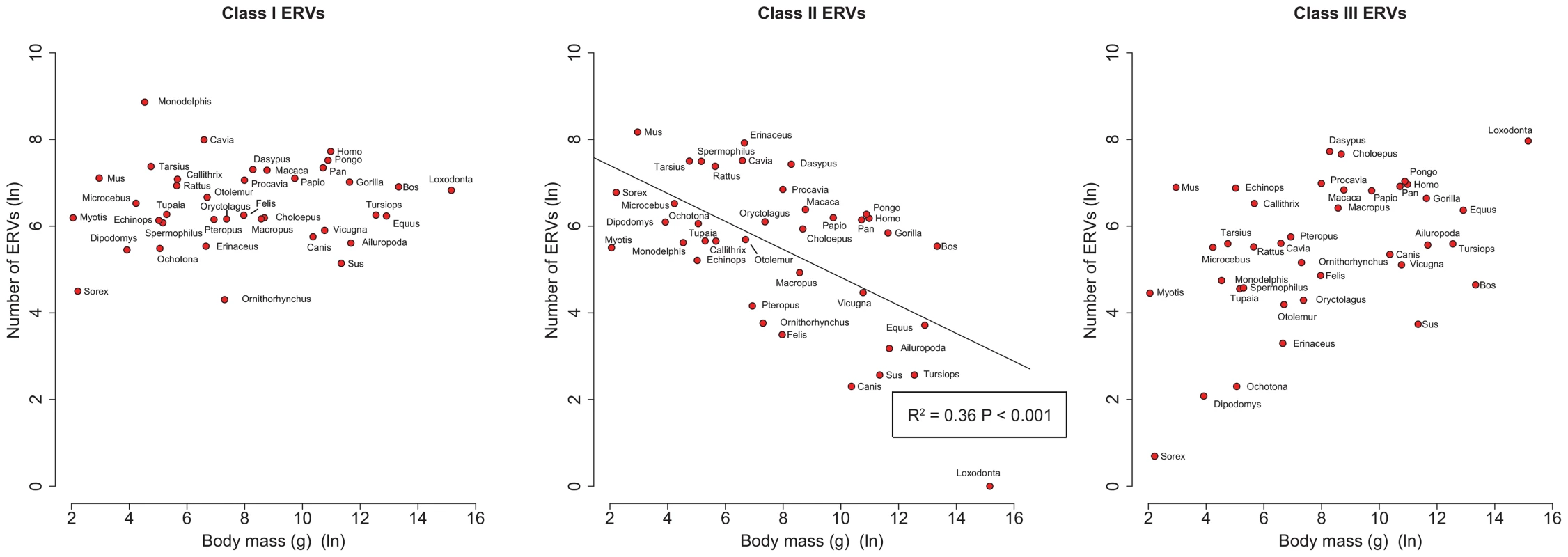 Correlations of number of ERVs against body mass (both log-transformed) by ERV class.