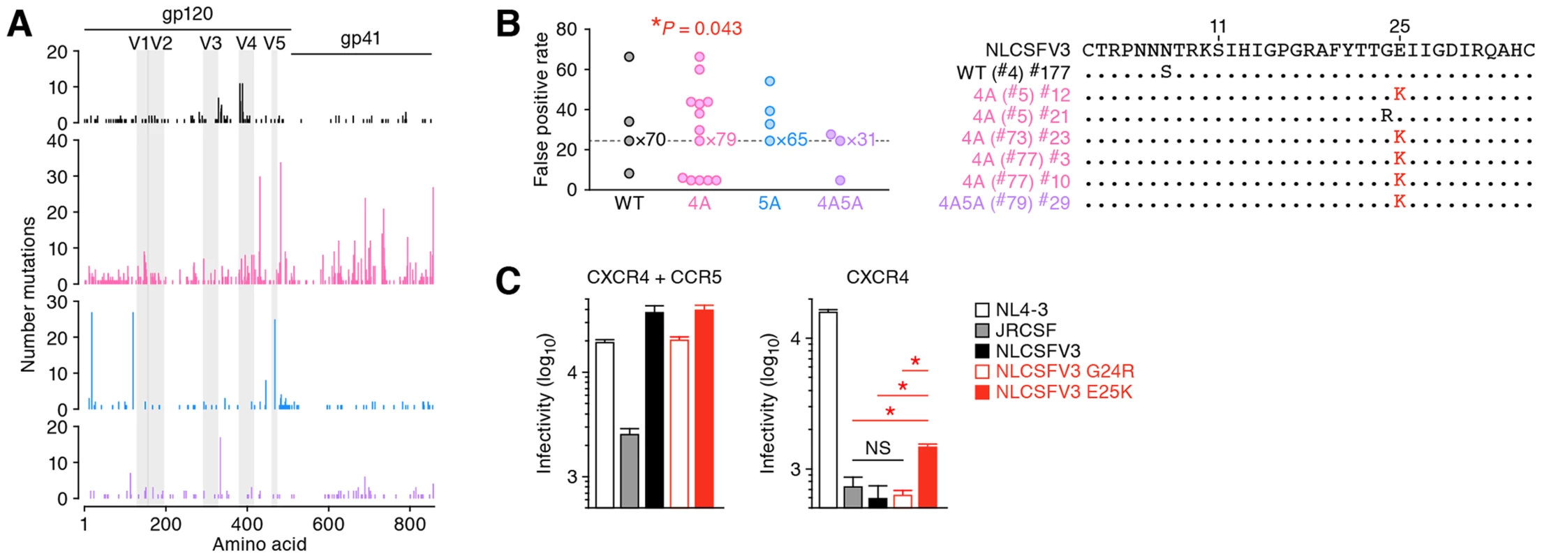 Functional evolution of 4A HIV-1 <i>in vivo</i>.