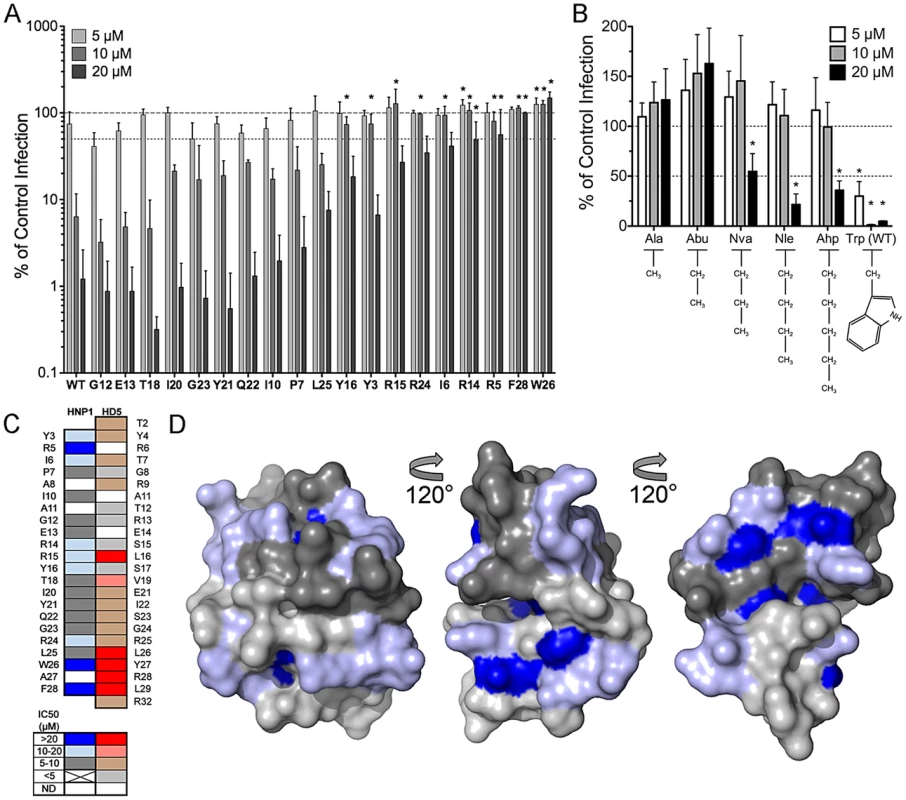 Anti-viral activity and model of HNP1 alanine scan mutants.