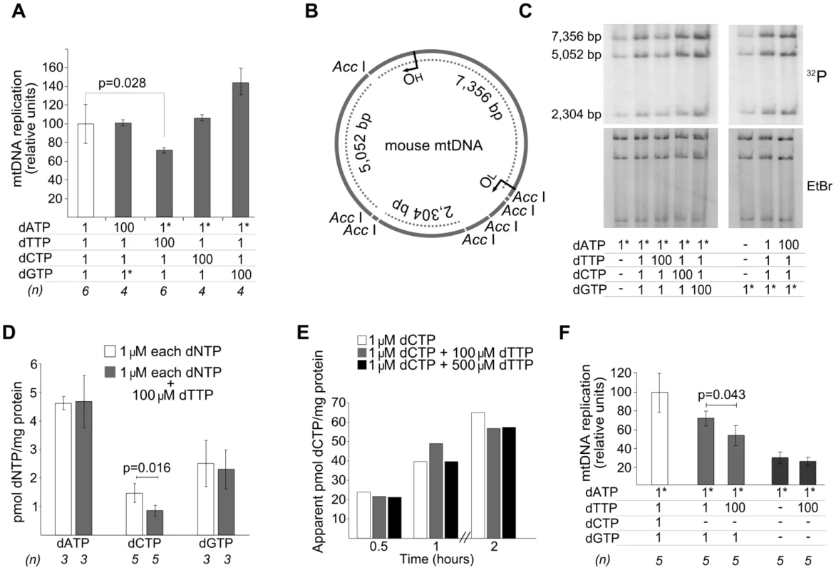 dTTP excess causes a decrease of <i>in organello</i> mtDNA synthesis associated with secondary dCTP depletion.