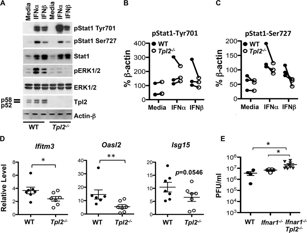 Tpl2 mediates IFN signaling and induction of ISGs.