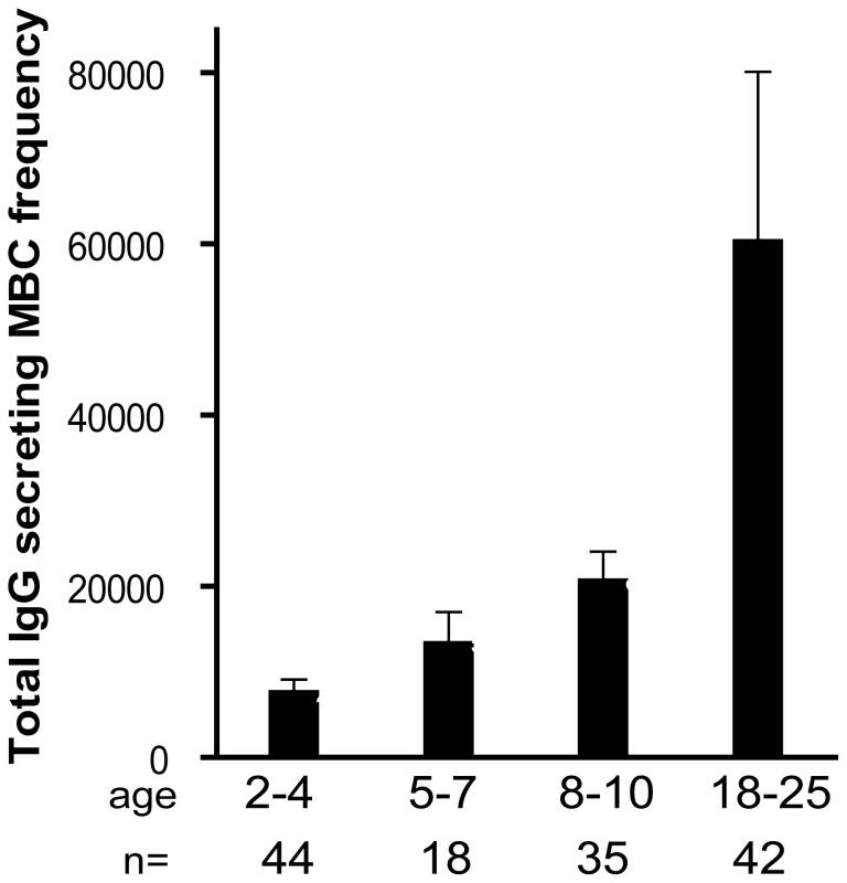 The size of total IgG<sup>+</sup> MBC compartment expands gradually with age.