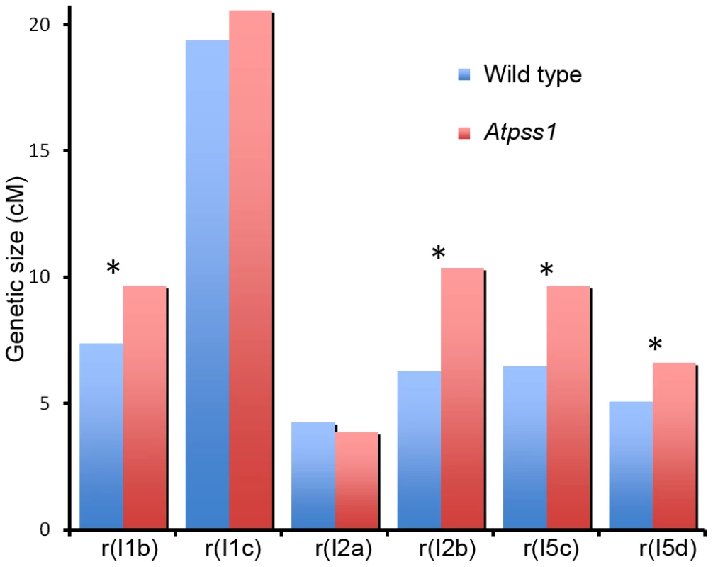 Genetic recombination in wild type and <i>Atpss1-1</i>.