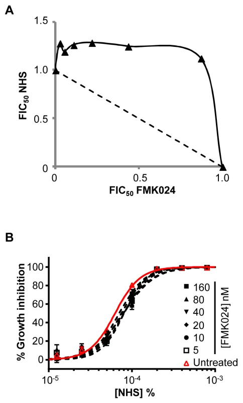 Chemical inhibition of <i>T. b. brucei</i> cathepsins in the presence of ICP has no effect on human serum trypanolytic activity.