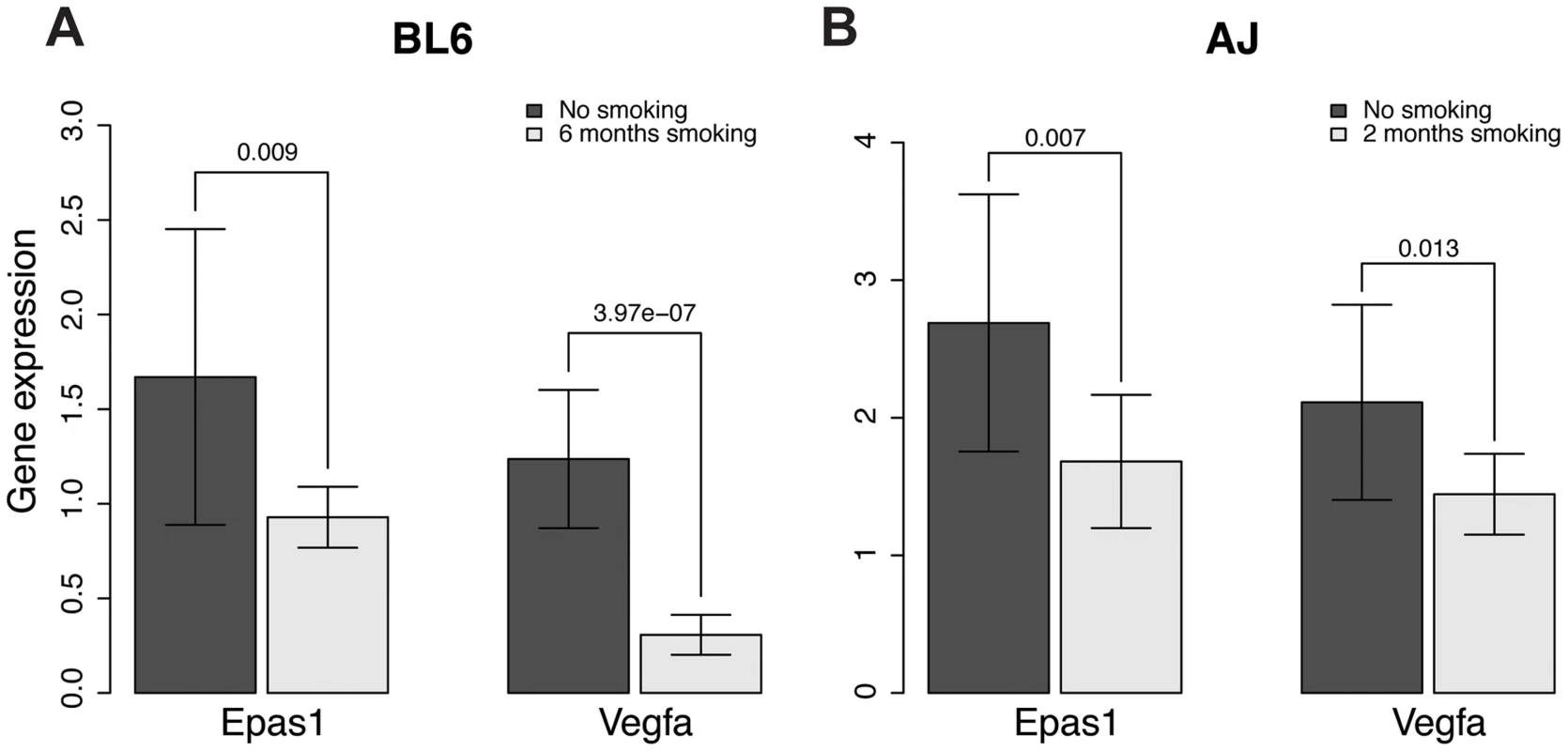 Gene expression levels of <i>Epas1</i> and <i>Vegfa</i> were lower in chronic smoking mice than non-smoking age-matched mice at the time when COPD develops in different mouse models.