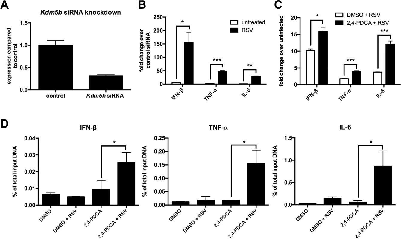 siRNA knockdown of <i>Kdm5b</i> leads to increased cytokine and chemokine gene expression.