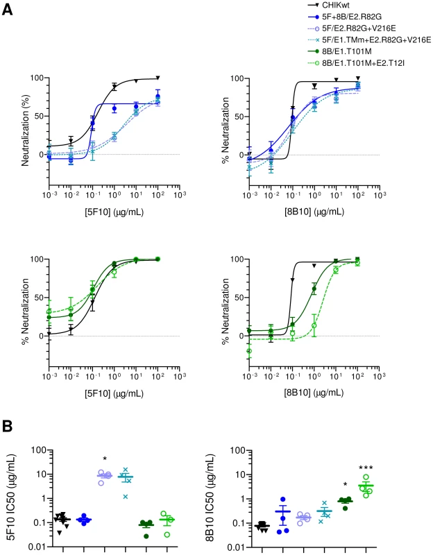 5F10 and 8B10 mAb neutralizing potency against clonal CHIKVs.