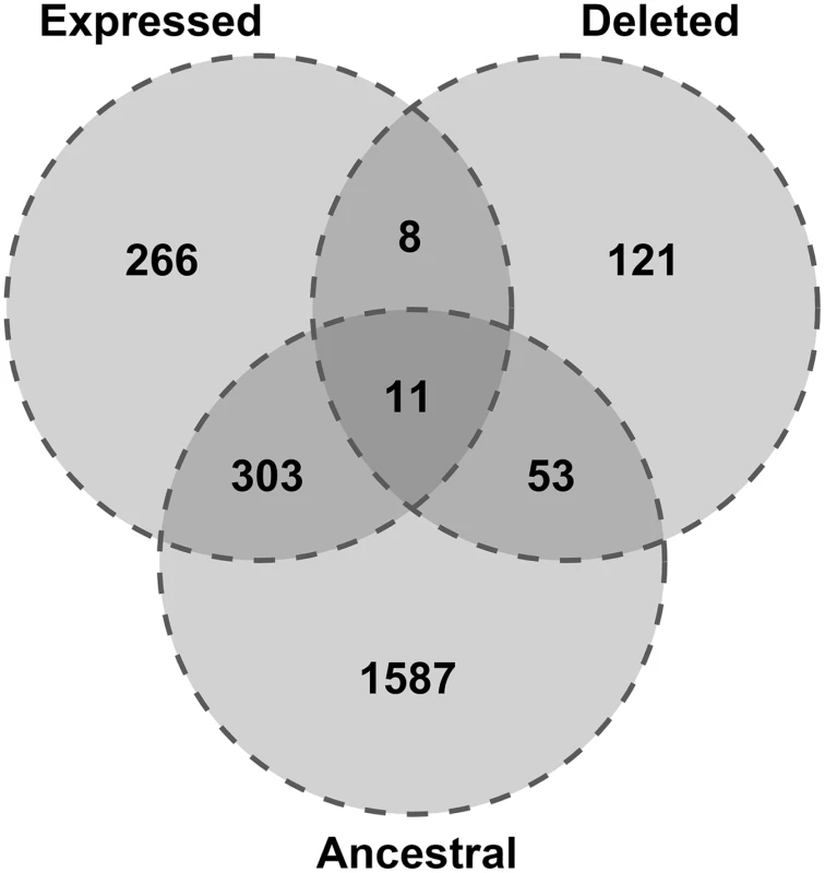 Expression and conservation of retrocopies deleted relative to the reference genome.