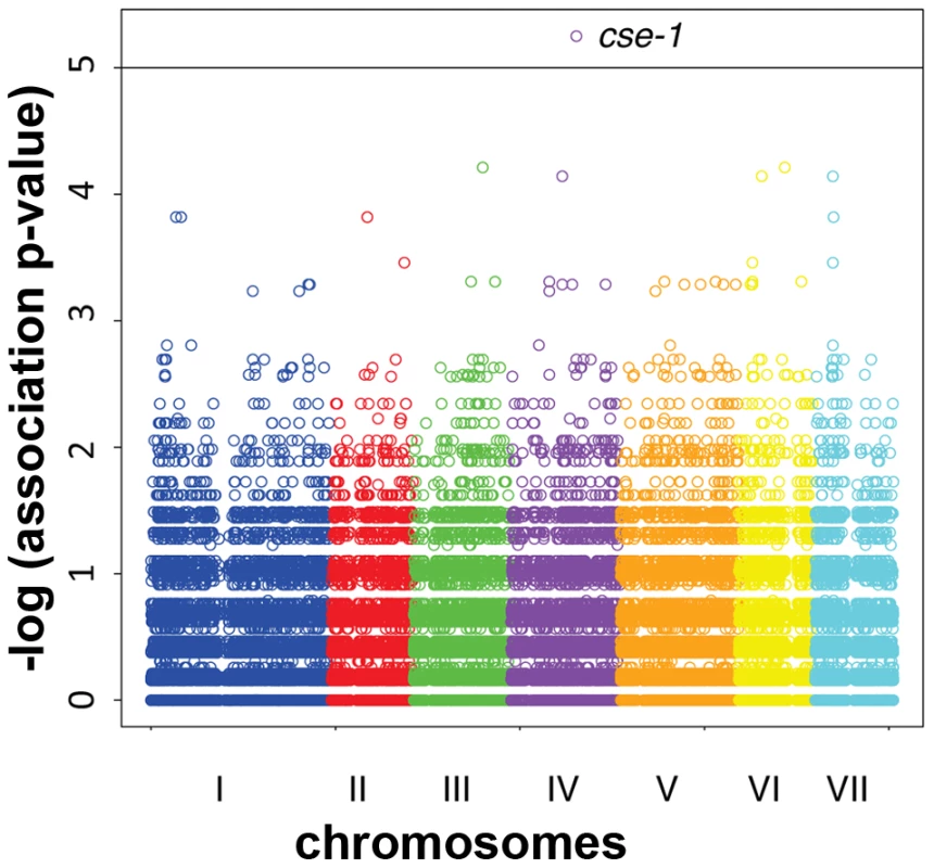 Genome-wide association of germling communication frequency on the seven chromosomes of <i>N. crassa</i>.
