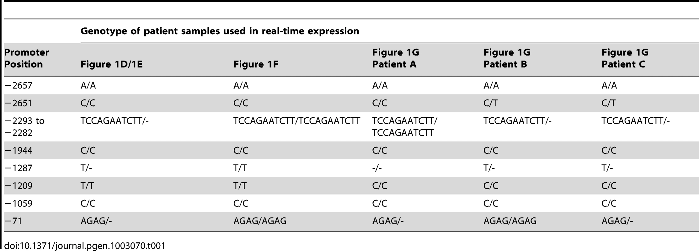 Genotypes of BEEC patient samples used in real-time expression experiments.