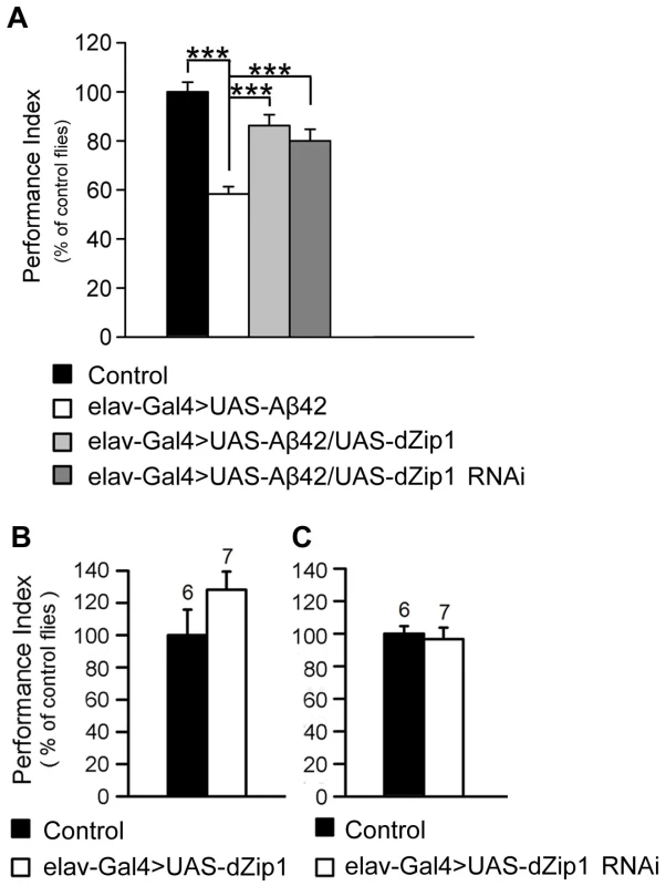 <i>dZip1</i> expression modulation ameliorates the Aβ42-induced immediate memory loss.