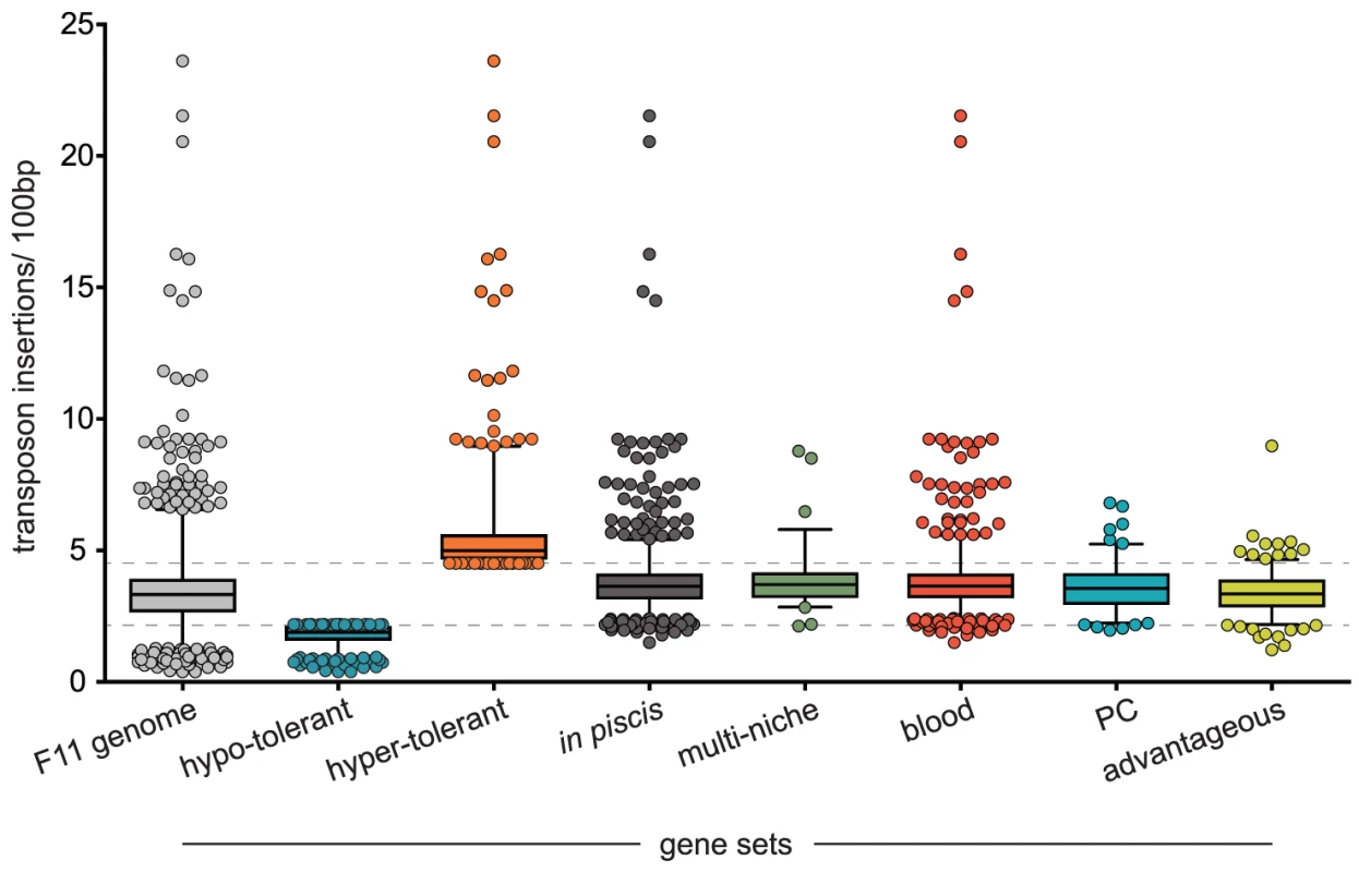 Transposon insertion rates for loci within different gene sets.