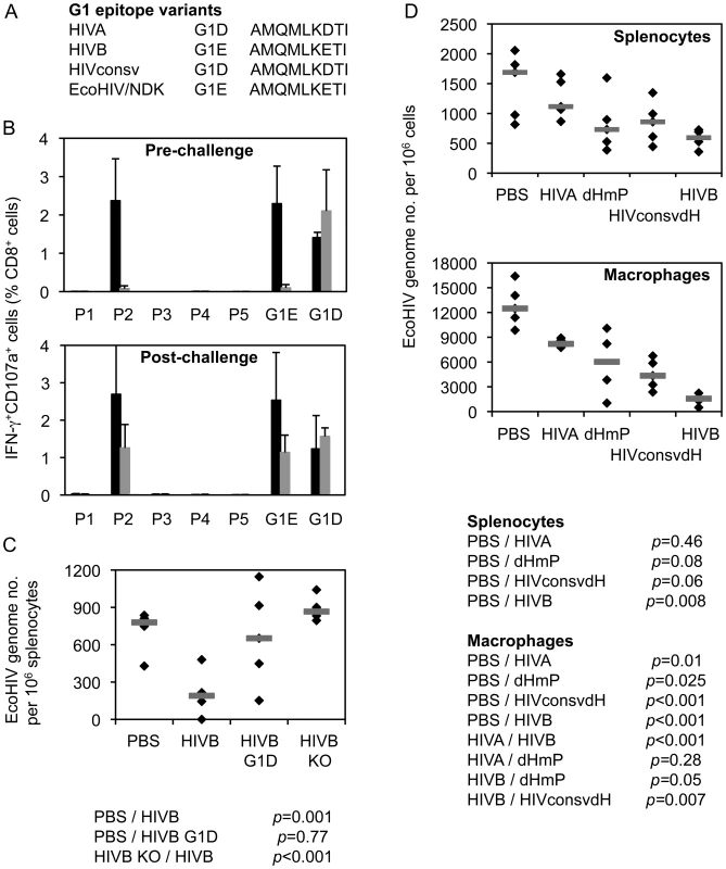 G1 epitope-specific CD8<sup>+</sup> T cell responses confer protection against EcoHIV/NDK challenge.