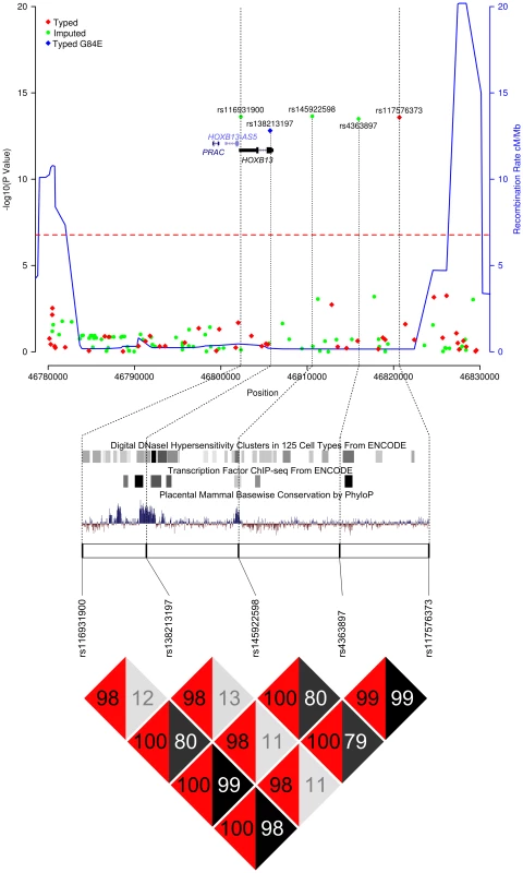 Results of the <i>HOXB</i> locus fine-mapping analysis.