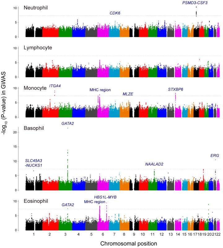 Manhattan plots of the GWAS for the WBC subtypes.