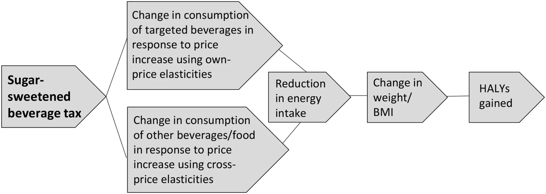 Logic pathway for modelling the health effects of a sugar-sweetened beverage tax.
