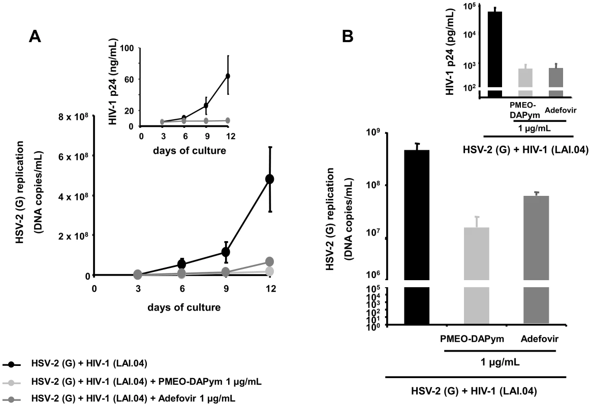 Suppression of HSV-2 in single-infected and HIV-1 co-infected human <i>ex vivo</i> tonsillar tissue by adefovir and PMEO-DAPym.