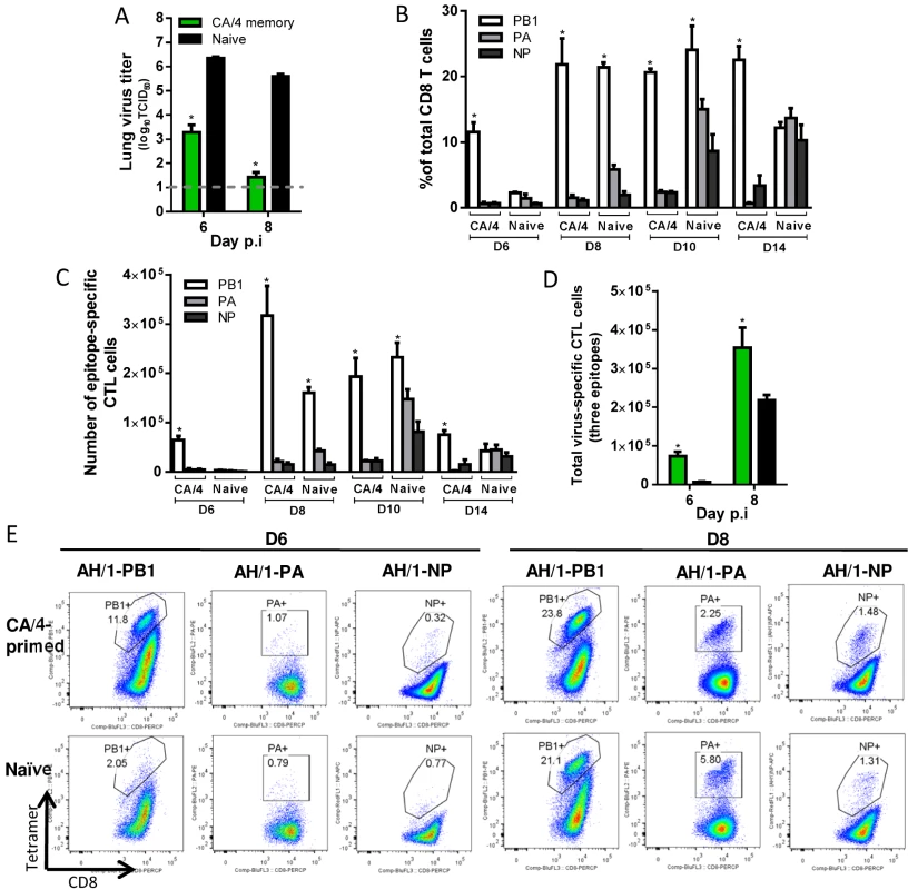 Comparing the primary and secondary CTL responses in naïve and CA/4(H1N1)-primed mice challenged with the H7N9 virus.