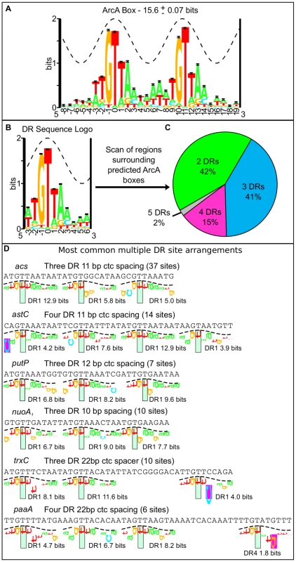Bioinformatic analysis of the sequence regions bound by ArcA <i>in vivo</i>.