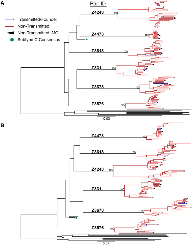 HIV-1 Full-length genome phylogenetic analysis of six epidemiologically-linked heterosexual transmission pairs.
