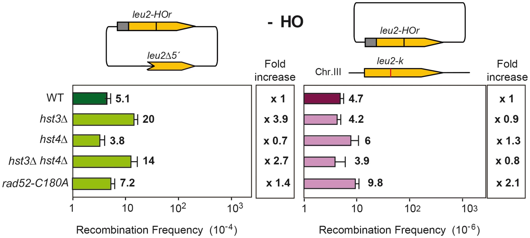 Effect of changes in the state of H3K56 acetylation on spontaneous recombination.