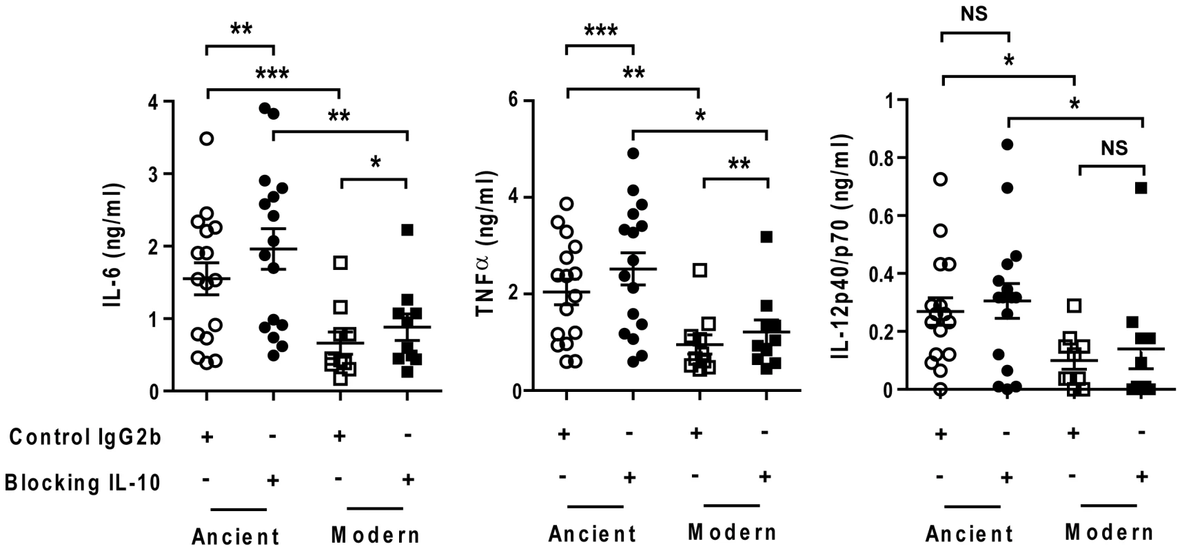The delayed inflammatory response of modern lineage is not due to IL-10.