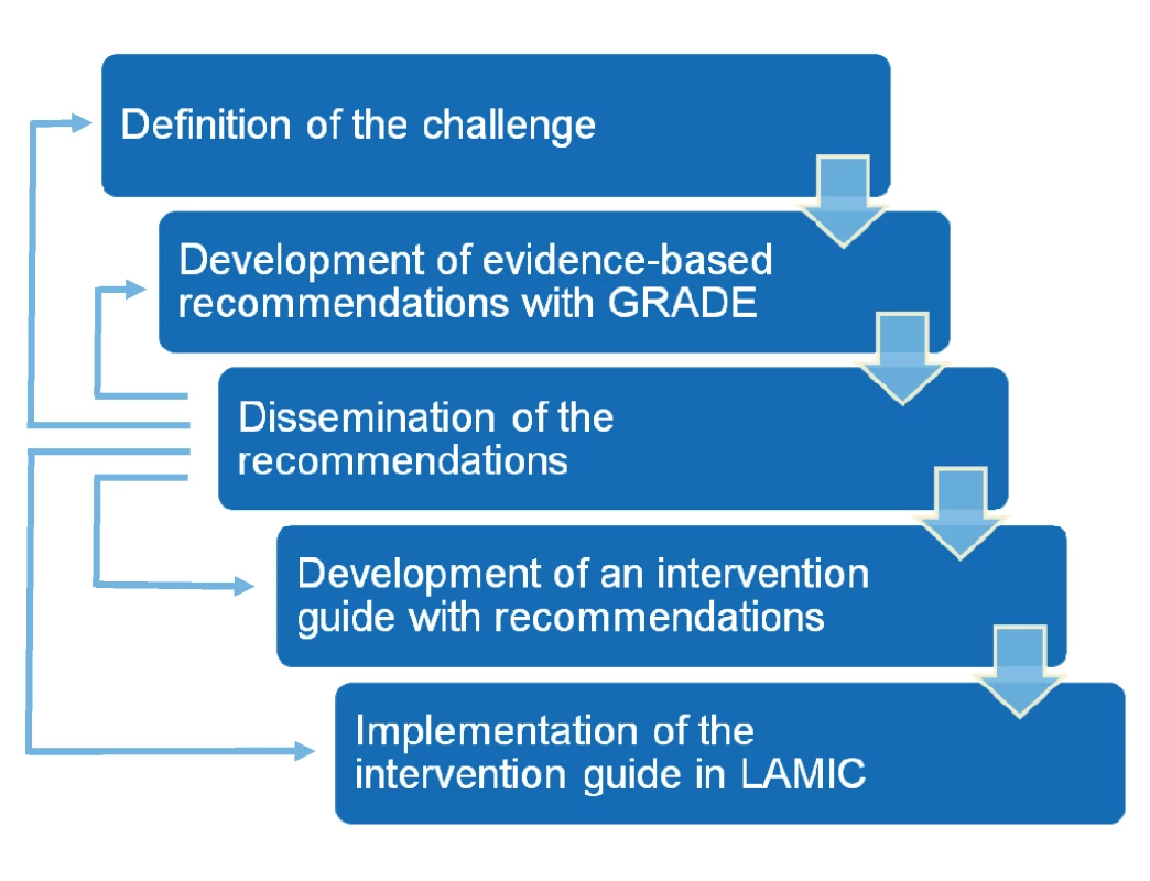 Steps in the formulation and implementation of the &lt;i&gt;mhGAP Intervention Guide&lt;/i&gt;.