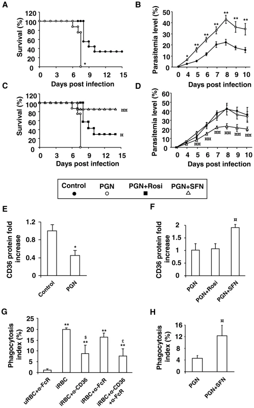 Nrf2 activator sulforaphane improves the outcome of induced-severe malaria trough a reduction in parasite burden.