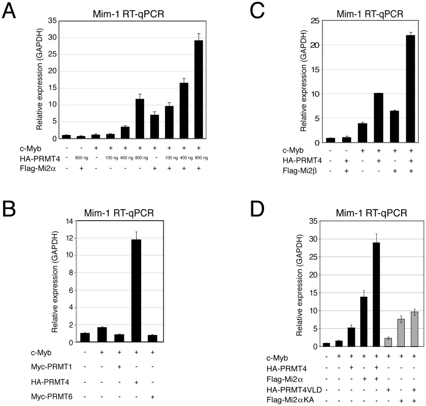 PRMT4 and Mi2 are cooperating transcriptional activators of c-Myb-dependent gene expression in the chicken macrophage cell line HD11.