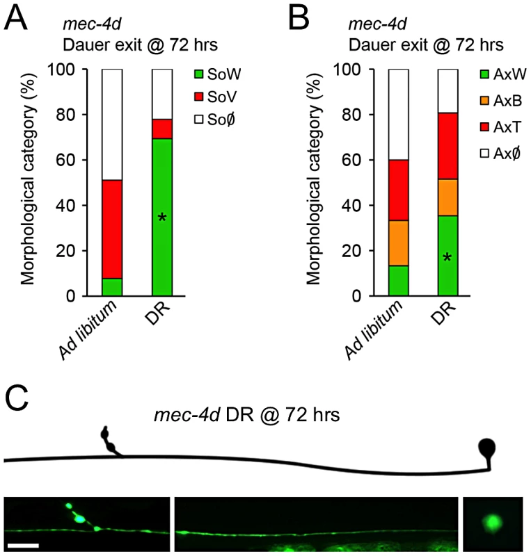 Dietary restriction inhibits <i>mec-4d</i>–dependent neuronal degeneration in <i>C. elegans</i>.