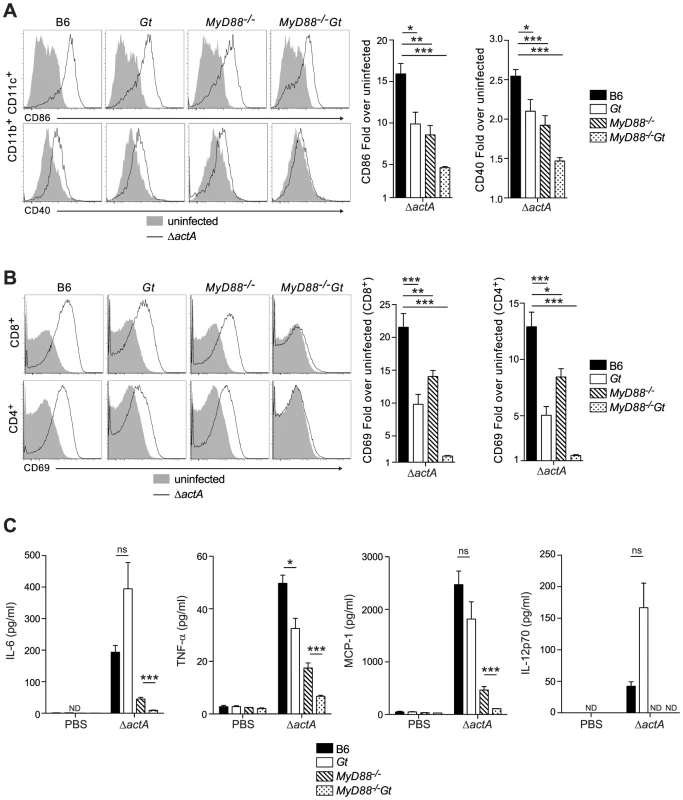 MyD88 and STING contribute to dendritic cell and T cell activation <i>in vivo</i>.