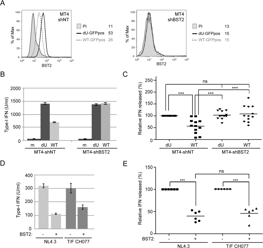 Vpu-mediated control of IFN-I production by pDCs requires the presence of BST2 on infected donor cells.