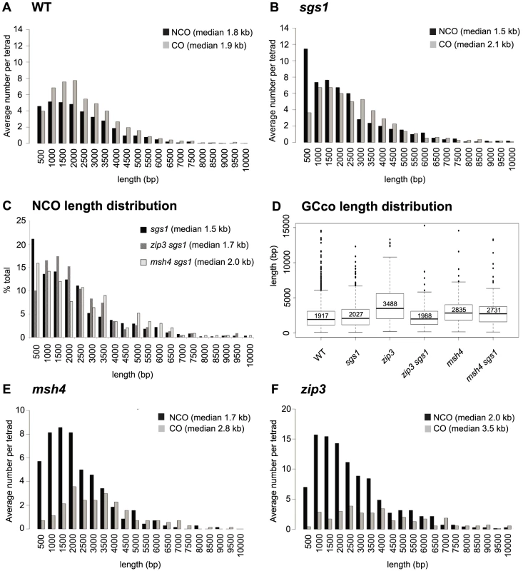 Distribution of GCco and NCO tract lengths for <i>sgs1</i> and <i>zmm</i> mutants.