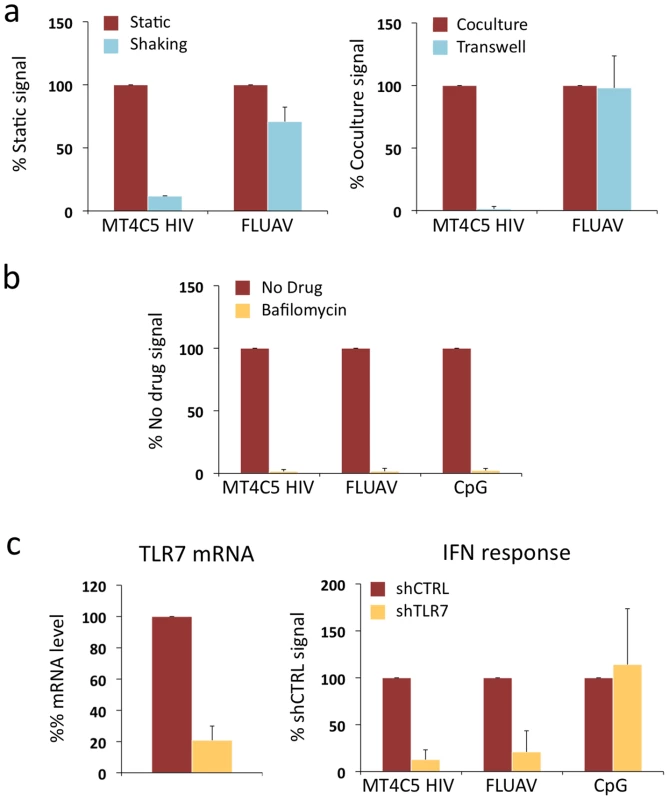 Role of cell contacts and of TLR7 on recognition of HIV-infected cells by Gen2.2 cells.