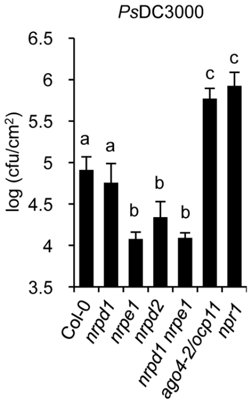 Comparative immune responses of Pol IV and Pol V defective mutants to inoculation with <i>Pseudomonas syringae</i> DC3000.