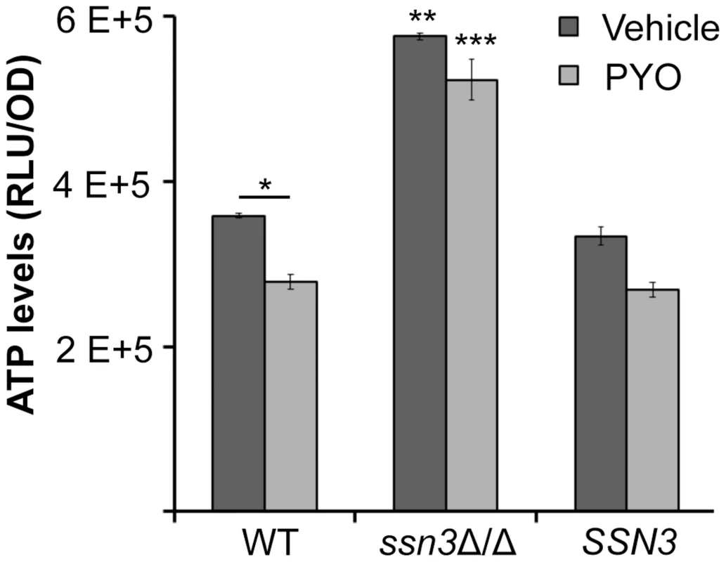 The <i>ssn3</i> mutant contains higher levels of ATP in the presence and absence of PYO.