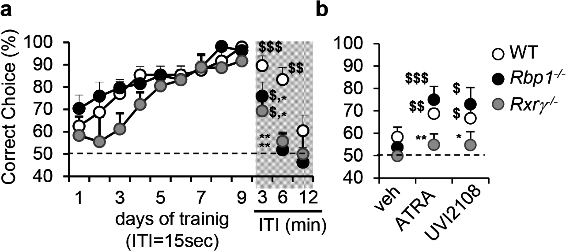 Compromised RXR signaling in <i>Rbp1</i><sup><i>-/-</i></sup> mice.