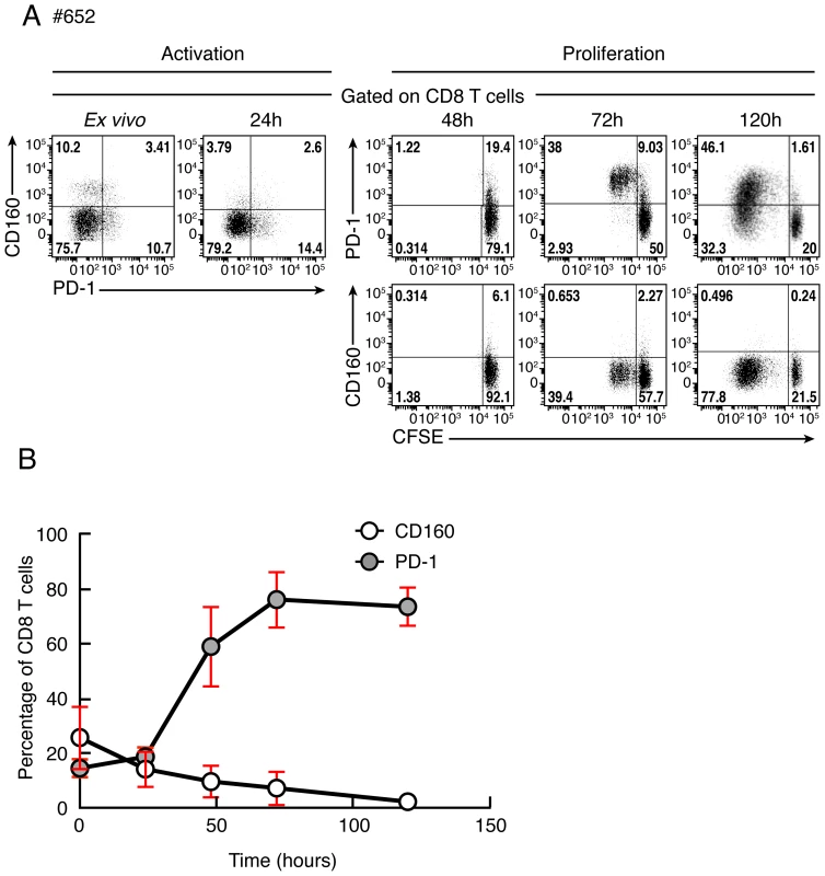 Kinetic of CD160 or PD-1 expression on CD8 T cells stimulated upon T-cell stimulation.