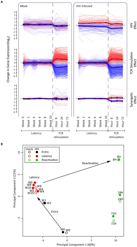Host transcriptional response in latency and reactivation in a primary CD4+ T cell model.