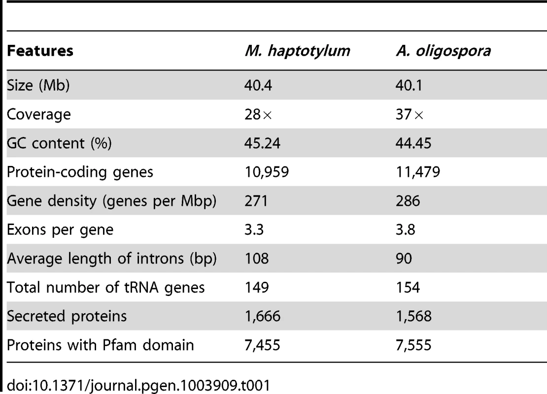 Main features of the &lt;i&gt;M. haptotylum&lt;/i&gt; and &lt;i&gt;A. oligospora&lt;/i&gt; genomes.