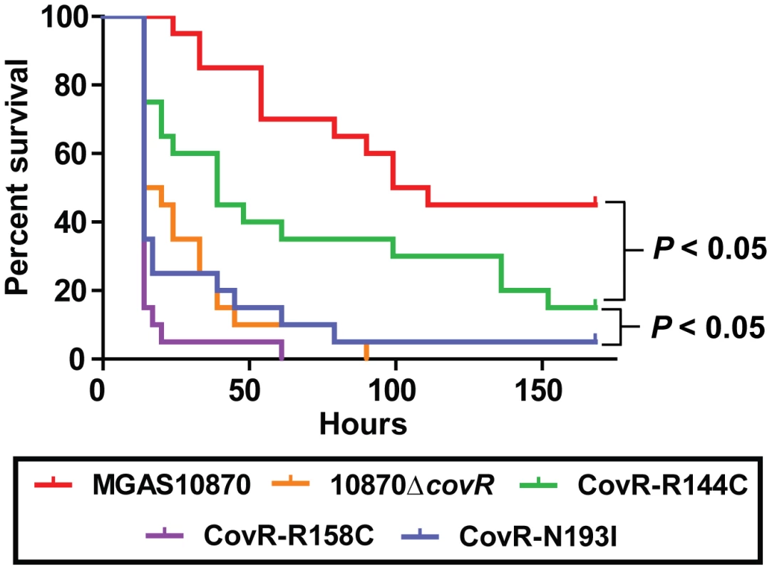 CovR single amino acid replacements result in differential virulence in mice.