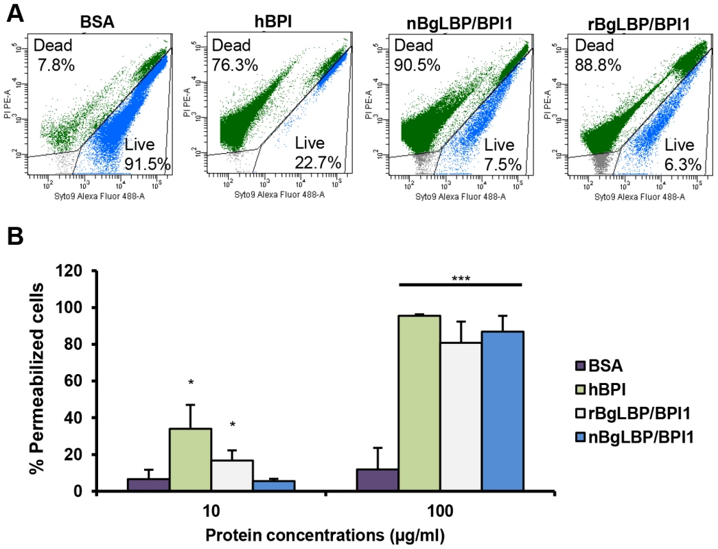 BgLBP/BPI1s permeabilize membranes and induce death of short LPS <i>E. coli</i>.
