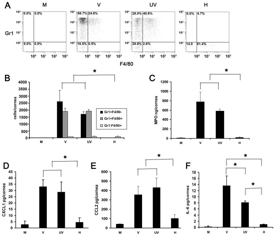 UV-inactivated adenovirus induces leukocyte infiltration and cytokine expression.
