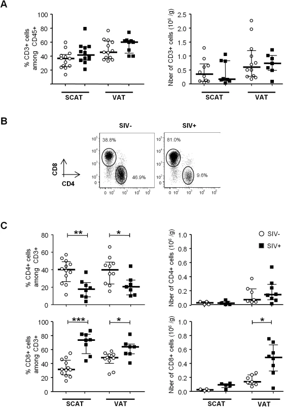 The influence of SIV infection on adipose-resident T cell subsets.