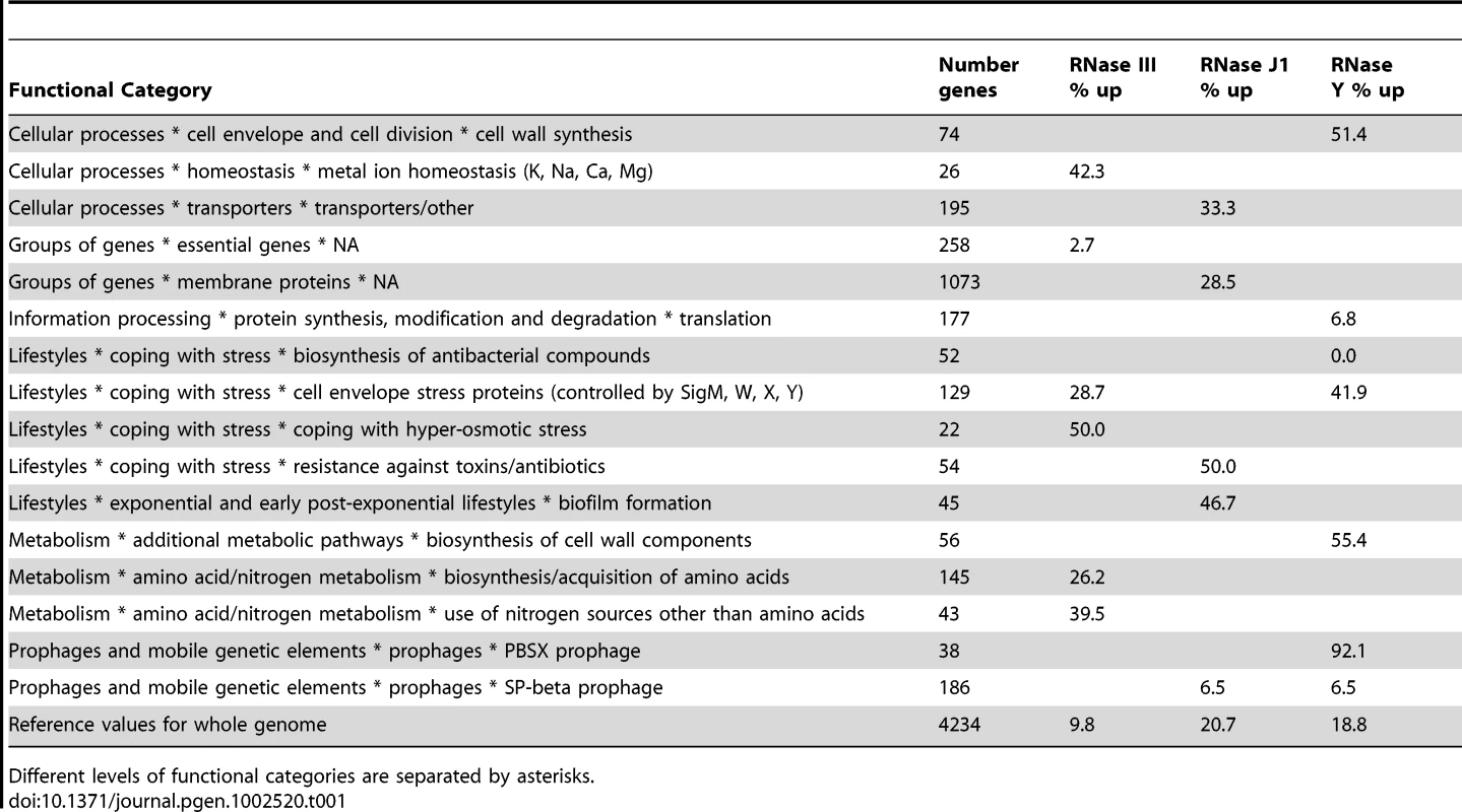 Functional categories of mRNAs stabilised in RNase III, J1, and Y mutants.