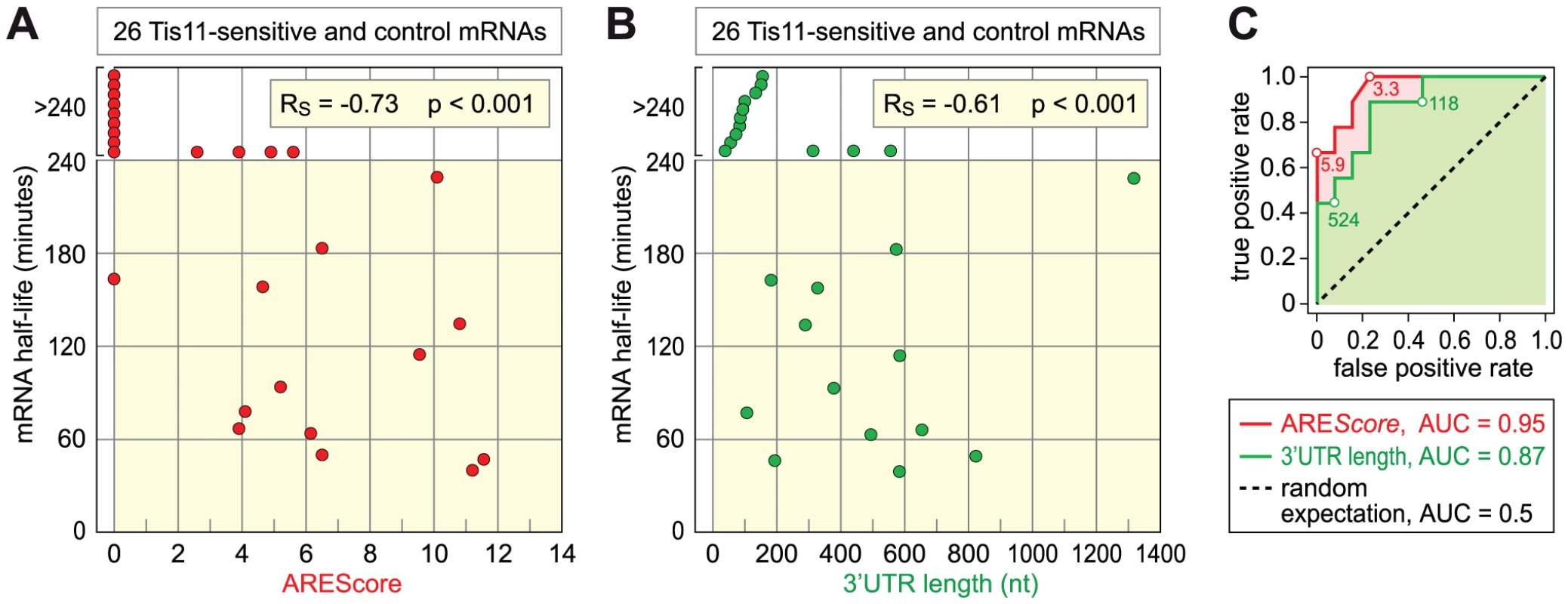 Relationship among ARE<i>Score</i>, 3′UTR length, and mRNA half-lives.